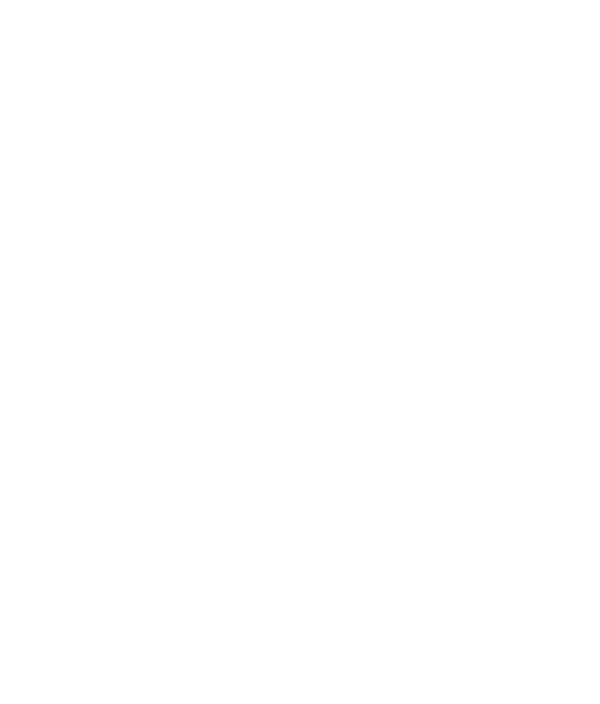 logo main